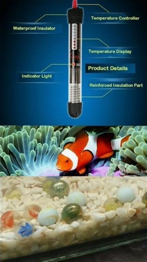 Aquarium Heater #fish #fishtank #shorts #shortsfeed #shortvideo #electrical #aquarium