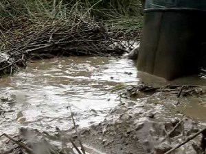 waders in a deep mud