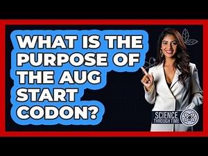 What Is the Purpose of the AUG Start Codon?