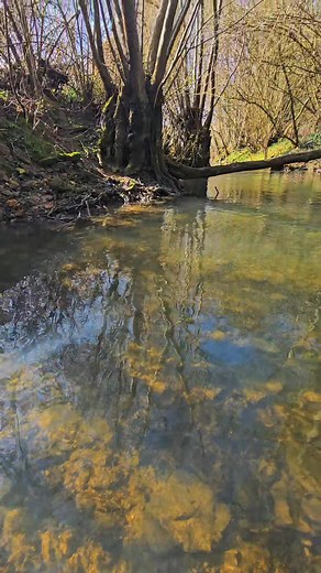 89K views · 838 reactions | Matériel utilisé : Canne : Pack PPS54UL...