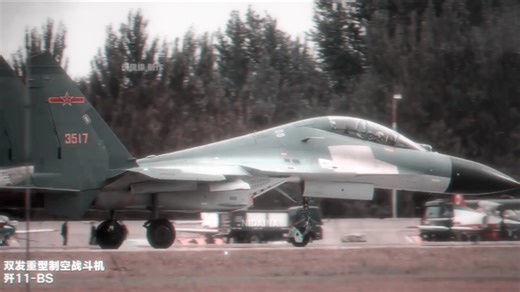 应龙—“沈霍伊”出品