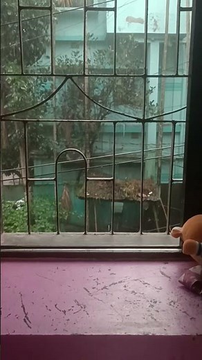 Python Django & Rain together a deadly combination ❤‍🔥🔥 #python #django #djangorestframework