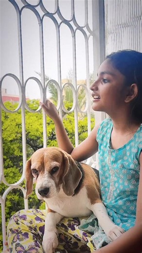 Perfect song for today’s weather 🌧️🐾 Random try 🎶 #bengalisong #rainyday #happiness #dog #beagle #pet #doglovers #song #devanganafouzdar #childactor #highlight | Devangana Fouzdar