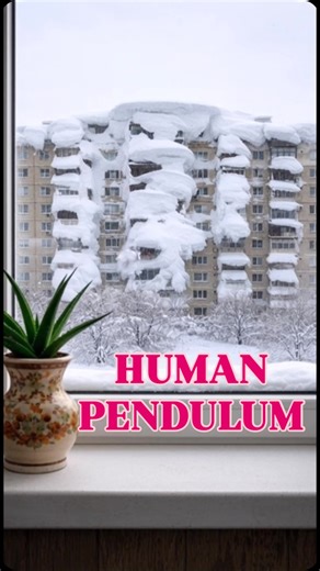 window neighbor | Who’s dangling from the roof like a grandfather clock? Kamchatka finally sent a crew to clear the snow, but it was a terrible idea. These... | Instagram