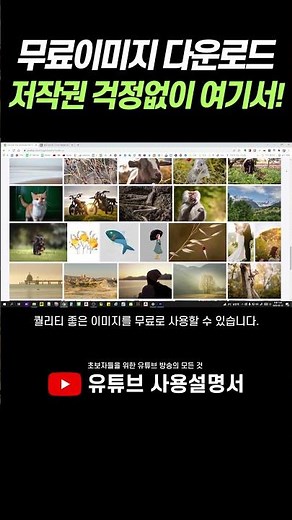 Free Image Downloads | Recommended Copyright-Free Image Sites