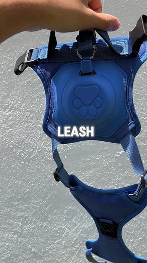 Link in bio 🔗 This leash is a game changer 🦮💕 #dog#dogproducts#dogleash