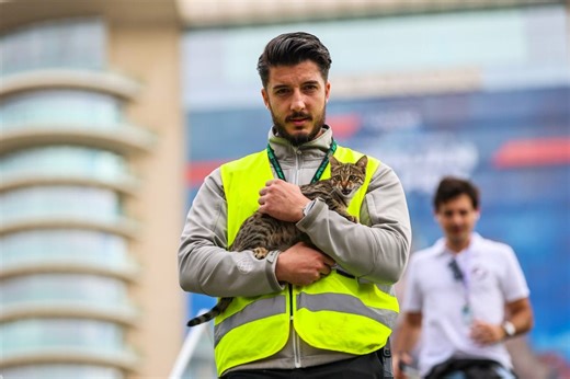 The Viral Azerbaijan Grand Prix "Paddock Cat" Gets a Name