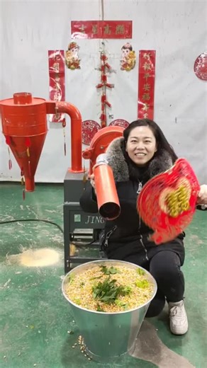 Grain Processing in Livestock Feed Production Explained