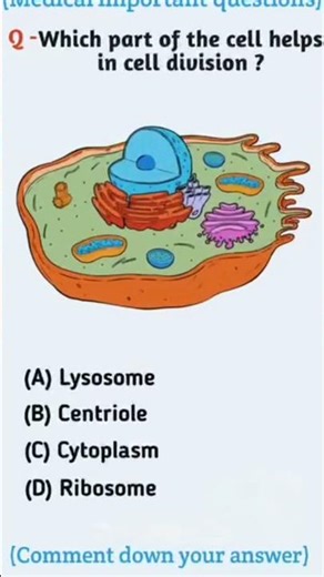 which part of cell helps in cell division #cellbiology#celldivision#centrosome#centrioles#shorts #yt