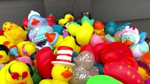 Bulk Rubber Ducks Bulk Rubber Duck Bulk Ducks for Ducking Bulk Duck for Ducking Duck Duck Variety Ducks Unique Ducks Duck Pack Duck Set Duck - Etsy