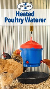 Heated Poultry Waterer 🐔 💧 ♨️ Clean, unfrozen water with a secure interlocking lid hinged quick-fill cap. 3 gal. capacity. | Premier 1 Supplies