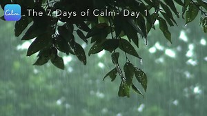 3.8M views · 154 reactions | Continue the 7 days of Calm by downloading the free Calm app. "App of the Year" - Apple  "World's Happiest App" - Humane Tech  | Calm | Facebook