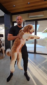 There's no place like home!! ❤️❤️❤️ | Team Kramer