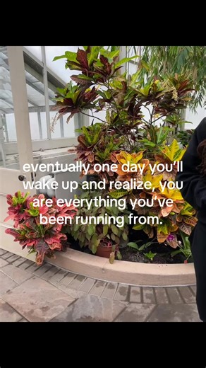 Understanding Bipolar Disorder and Mental Health