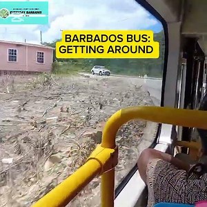 Barbados BUS: GETTING Around