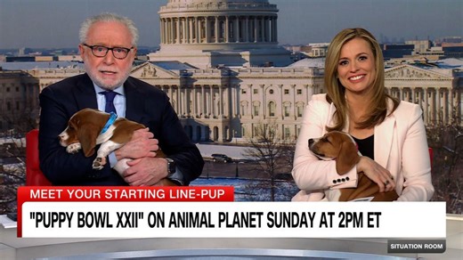 CNN’s The Situation Room gets a sneak preview of the Puppy Bowl on Animal Planet