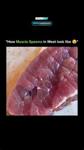 SCIENCE | HISTORY | FACTS | EXPERIMENT on Instagram: "When a muscle is freshly cut, residual nerve activity can cause it to spasm or twitch — even without a brain connection. 💀 This happens because electrolytes like potassium and calcium are still active in the tissue, briefly triggering contractions. It’s not alive — just biology in action. Science never fails to amaze! 🔬 📩 DM for credit/removal ✅ Follow @ofc_exp_science007 #explorepage✨🔥😈 #explorepages💕 #facts #knowledge #didyouknow #inn