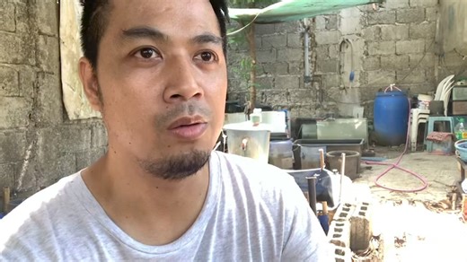 11K views · 328 reactions | How much my mini fish farm costs?? #fishfarming #fishkeeping #aquariumfish | Hendrix backyard TV | Facebook