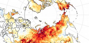 100 degrees in Siberia? 5 ways the extreme Arctic heat wave followed a disturbing pattern