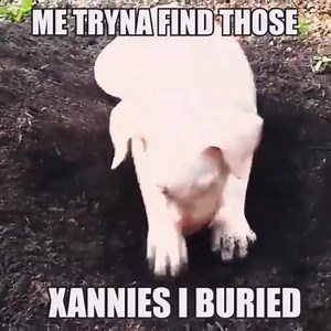 5K views · 298 reactions | Walter on Reels | Facebook