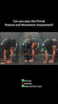Can you pass the Primal Movement Assessment? #primal #movement