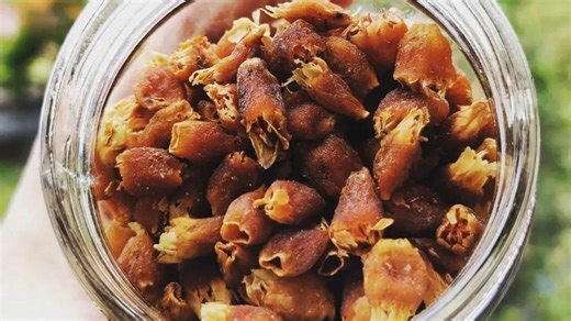 सूखा महुआ खाने से शरीर को मिलते हैं ये 4 जबरदस्त फायदे, डाइट में करें शामिल