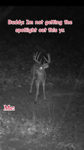 Hunting Memes That Bring the Laughs
