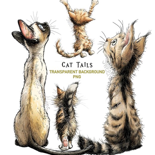 Cat Tails PNG Clipart: 26 Whimsical From Behind Graphics Transparent Background (digital Download) - Etsy