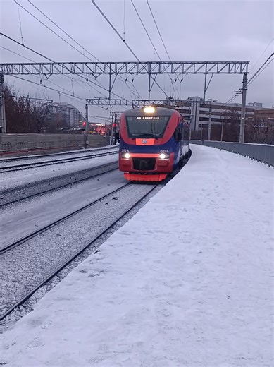 эп2д-0228 Синий Рекс пролетает электрозаводскую был с @fast1k_msk @Спотер с 43 Километра 🚉 @SPOTTER BARRACUDA