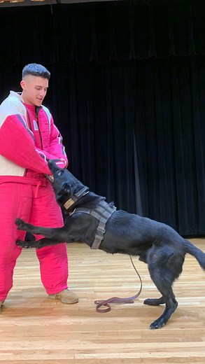 1.8K views · 465 reactions | NAS Lemoore Security Forces’ Military Working Dogs kennel visited Akers Elementary School Tuesday morning for Boots for Breakfast and showed the kids what they do! | Naval Air Station Lemoore | Facebook