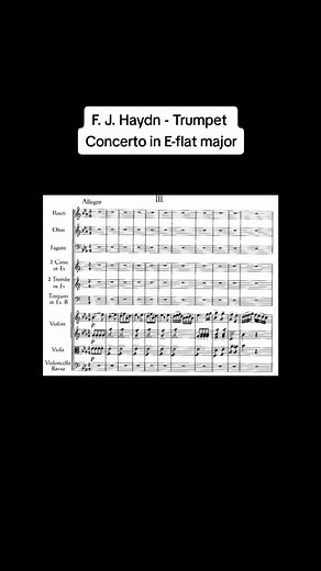 F. J. Haydn - Trumpet Concerto in E-flat major Norwegian Symphony Orchestra - Orchestra Tine Thing Helseth - Trumpet #haydn #classicalmusic #trumpet #concerto