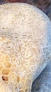 6.3K views · 108 reactions | Michigan winter tip: ❄️ This is PRIME...