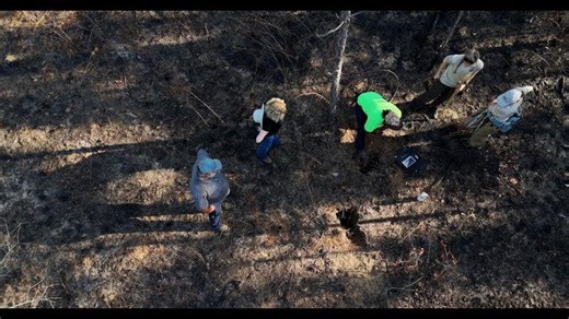 Mobile County Conservation Effort: Gopher Tortoise Survey | Matthew Hodges