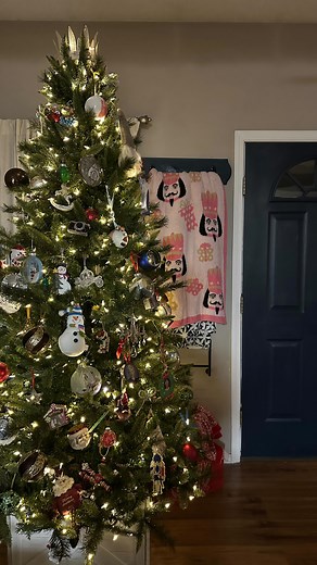 🎄🎅🏻🤗 It’s “probably” been up for a couple of weeks 😂 | Iris Adams