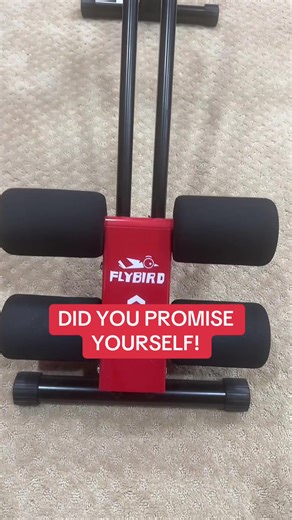 Flybird Ab Machine Discount for New Year Workouts