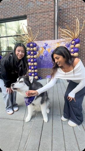 UW Bothell Admissions on Instagram: "Admitted Students Day 2025 was a day to remember! Hear firsthand takeaways from campus tours, info sessions, and the resource fair to see what students are most excited for at UW Bothell! #futurehuskies #uw #uwbothell #admissions"