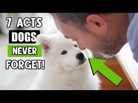 7 Acts of Love Your Dog Quietly WAITS for Its Entire Life | Dog Psychology