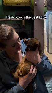 41K views · 1.3K reactions | My sweet girl is a SWEET GIRL. The secret is out and she’s been helping me heal.  Honey Pot No. 2 is out! And it details an urgent rescue that’s happening right now! #kinkajou #kinkatopia #unconditionallove #love #healing #honeybear #animals | Kinkatopia | Facebook