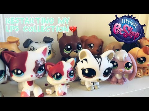 LPS: My small littlest pet shop collection