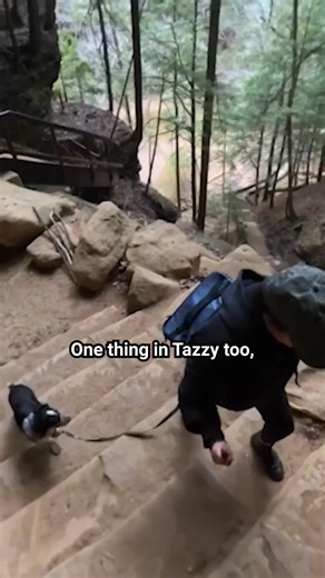 Sundays is no mess, no prep dog food that makes serving your pup 100% human-grade meals effortless. We want you to see how this can impact you and your pup so we’re offering 50% off your first box. | Roaming Reckless