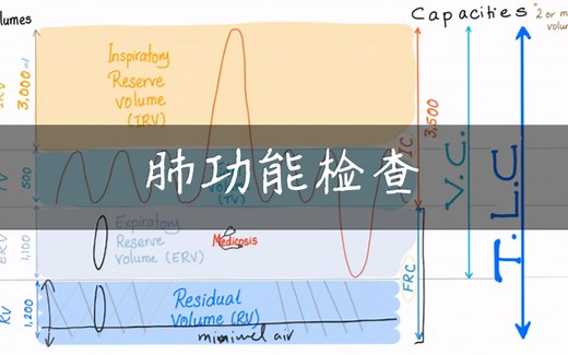 【搬运中英字幕】肺功能检查 各项指标总是分不清？Pulmonary Function Tests (PFTs) Made Simple