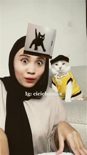 cat meme face 🤓🤓#duet #shorts