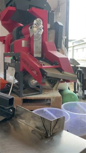 saate 300kg çeltik kırma kapasiteli #çeltikkırma#pirinç#baldo#paddy#rice#farming #ricemillmachine