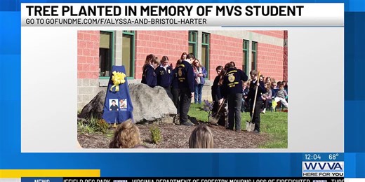 Tree planted to honor student killed in car crash