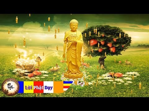 Nhạc Niệm Phật rất hay Nam Mô A Di Đà Phật 6 chữ - Bản Mới Nghe mỗi đêm Tiêu Tan Phiền Não Ngủ Ngon