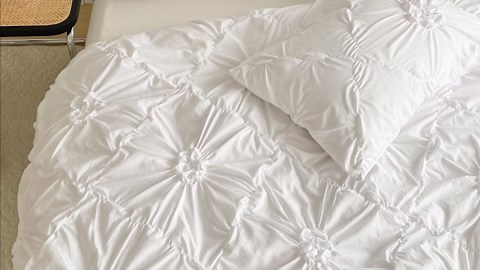 Bonsai Starter Kit – Growing Jacaranda Bonzai Tree | Complete Indoor Tree Kit for Growing Plants with Tools & Planter – Gardening Gifts for Mother, Women & Men