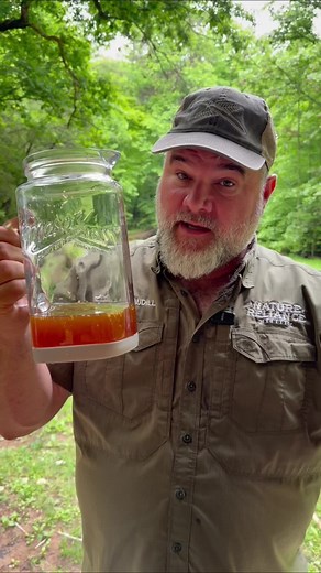 Switchel Recipe: Traditional Haymaker’s Punch for Hot Days