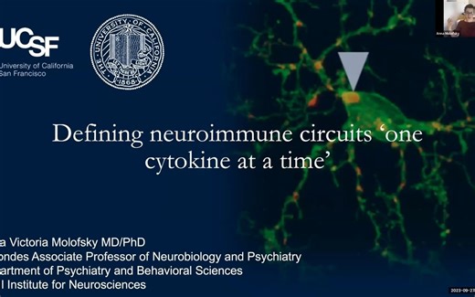 Innate immune mechanisms of brain development and plasticity_ by Dr. Anna Molofs