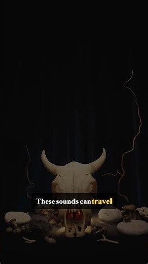 Elephant Communication Techniques