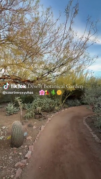 Exploring the Desert Botanical Garden in Arizona